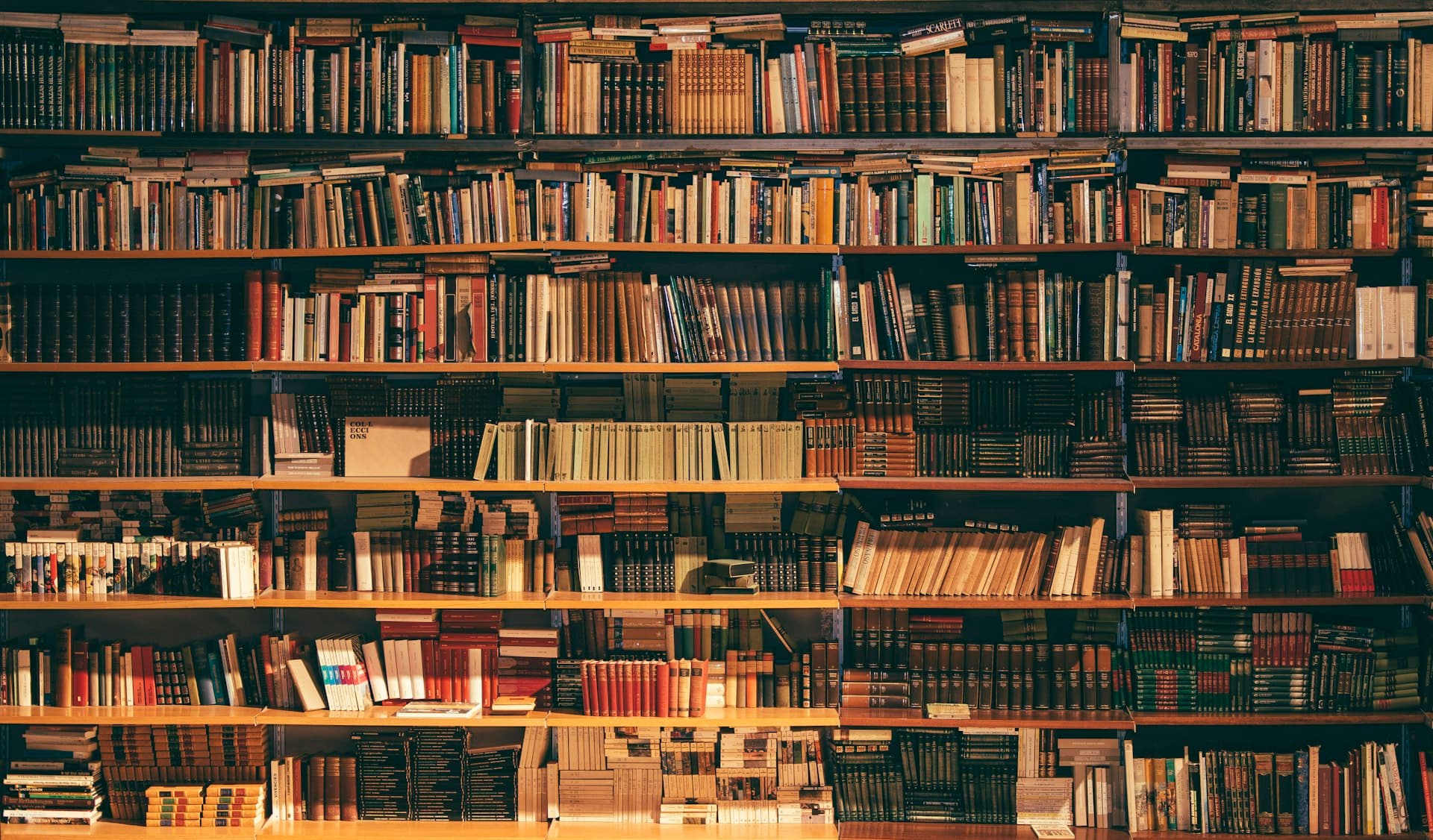 Library with natural light representing curated financial knowledge